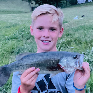 Meet your Posher, Bode